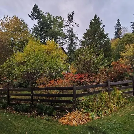 아파트 Marcowka M4 - Duzy W Historycznej Willi Z Ogrodem *