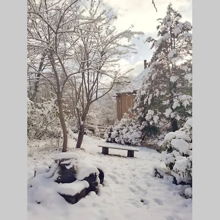 Marcowka M4 - Duzy W Historycznej Willi Z Ogrodem *