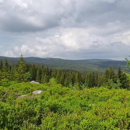 아파트 Marcowka M4 - Duzy W Historycznej Willi Z Ogrodem 스클라르스카포렘바