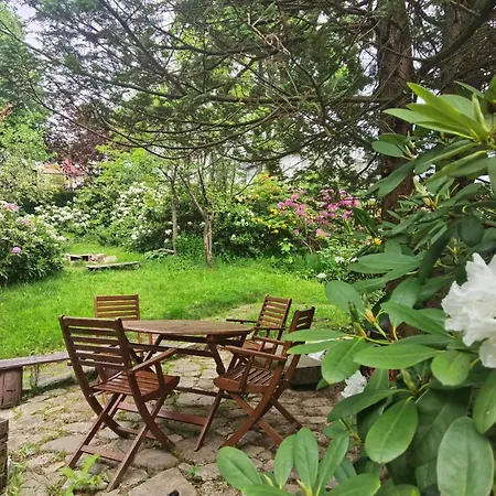 아파트 Marcowka M4 - Duzy W Historycznej Willi Z Ogrodem *