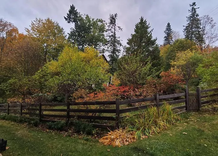 아파트 Marcowka M4 - Duzy W Historycznej Willi Z Ogrodem *