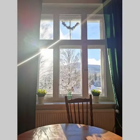 Apartment Marcowka M4 - Duzy W Historycznej Willi Z Ogrodem *