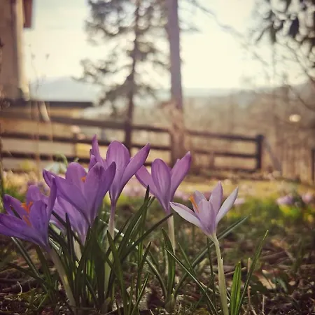 Marcówka M4 - Duży W Historycznej Willi Z Ogrodem *