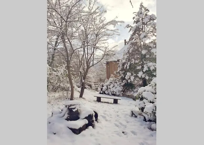 Marcówka M4 - Duży W Historycznej Willi Z Ogrodem *