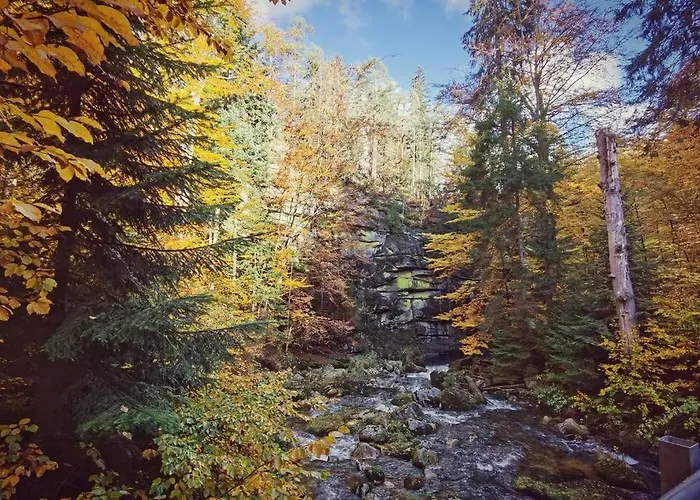 Apartament Marcówka M4 - Duży W Historycznej Willi Z Ogrodem *