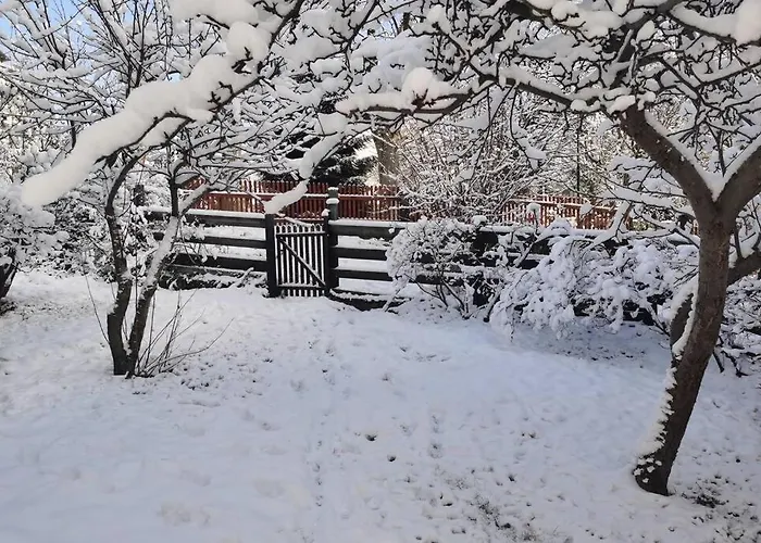 Marcowka M4 - Duzy W Historycznej Willi Z Ogrodem アパート シクラルスカ・ポレンバ