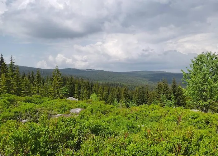 アパート Marcowka M4 - Duzy W Historycznej Willi Z Ogrodem シクラルスカ・ポレンバ