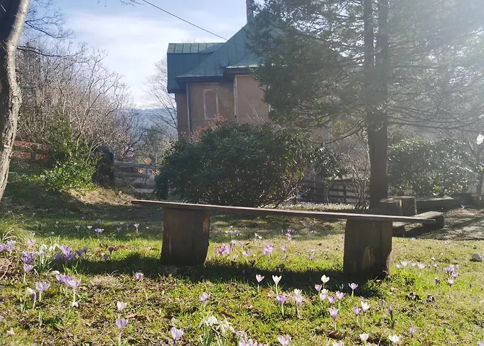 Marcówka M4 - Duży W Historycznej Willi Z Ogrodem Apartament